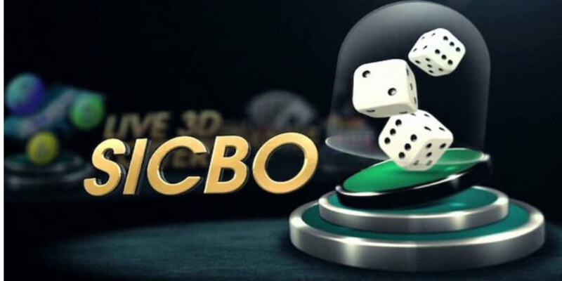 Sicbo Tài Xỉu là trò chơi xúc xắc 3 mặt tính điểm